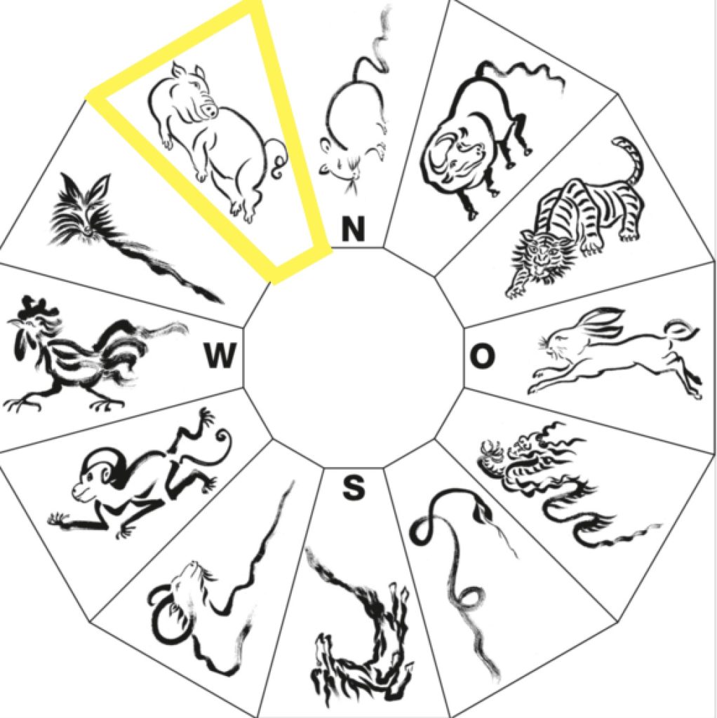 Chinesisches Horoskop im Jahr des Schweins 2019. 