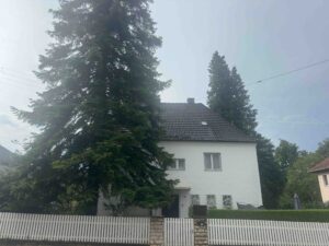 Tigerseite im Feng Shui